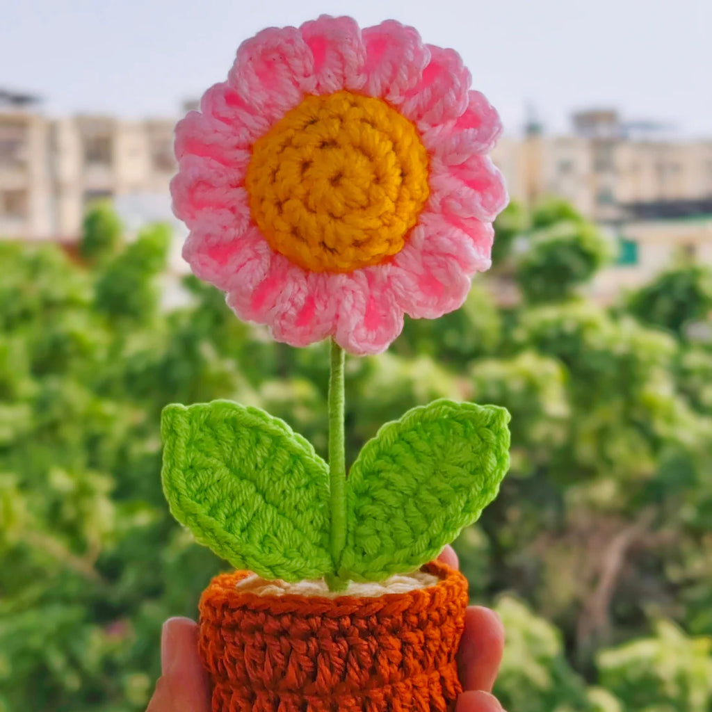 Pink Daisy Pot
