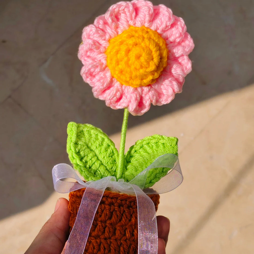 Pink Daisy Pot