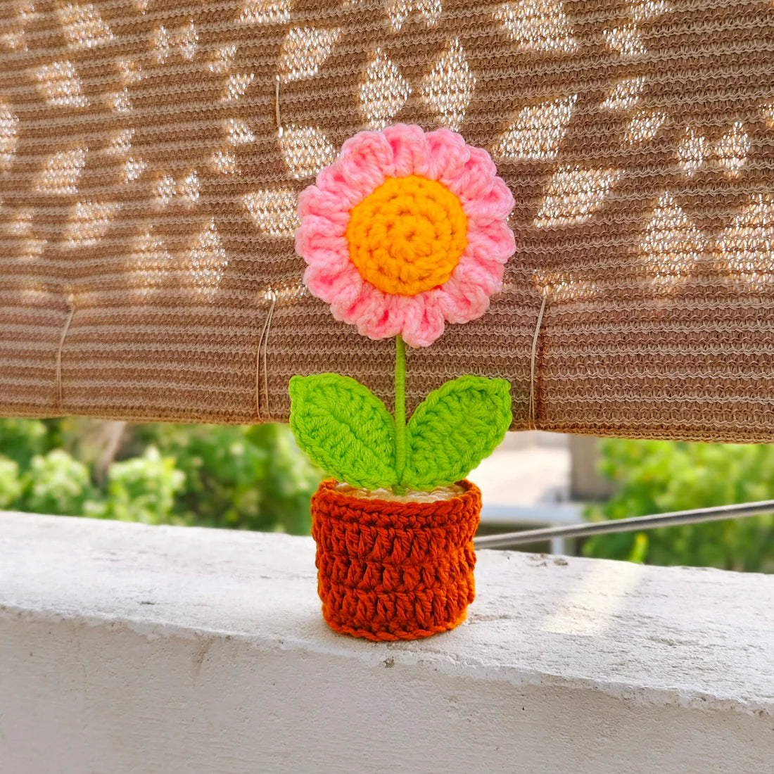 Pink Daisy Pot