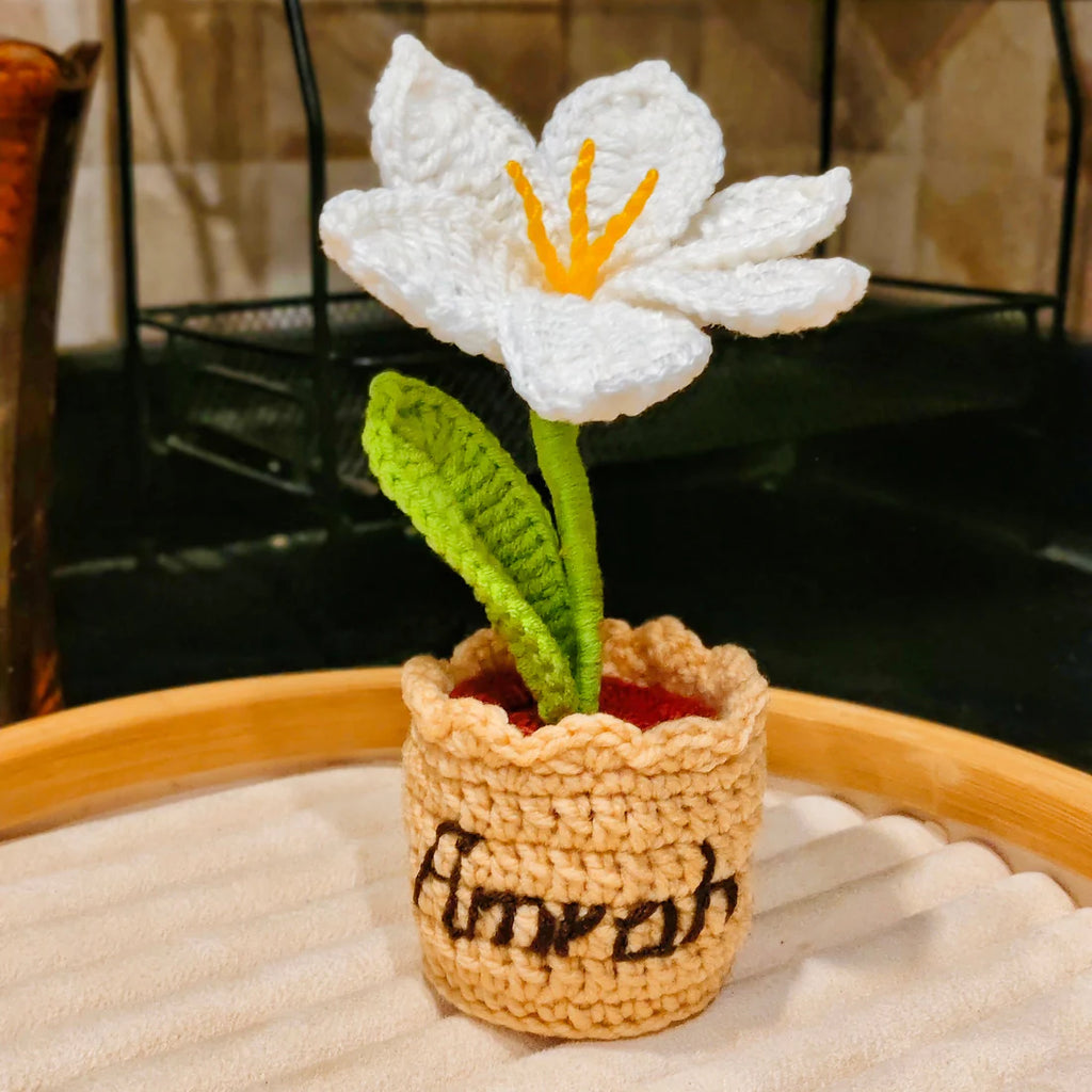 White Lily Flower Pot